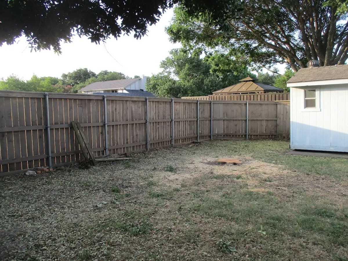 Cleared yard after professional tree removal in Hicksville